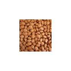 Almendro Marcona -Jardín Y Exteriores almendro marcona 2