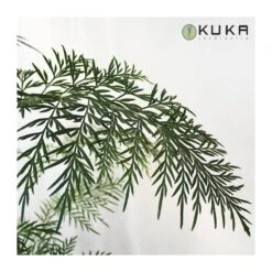 Grevillea Robusta EJEMPLAR -Jardín Y Exteriores grevillea robusta 2