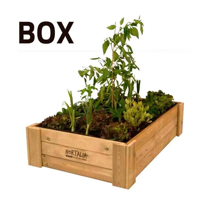 Huerto Urbano Box 1 Huerto Urbano Box