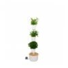 Jardin Vertical Citysens TERRA Xx Blanco