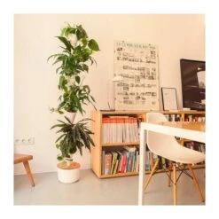 Jardin Vertical Citysens SMART Xx Blanco -Jardín Y Exteriores jardin vertical citysens smart 4