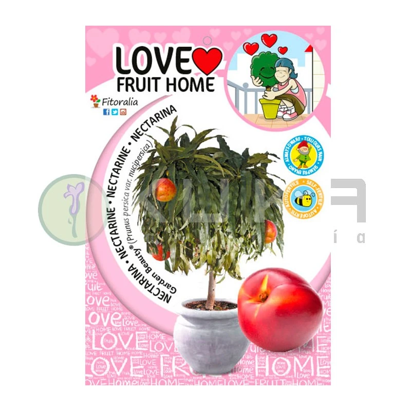 Melocotón Nectarina Enana Certificado M.P.S. 1 Melocotón Nectarina Enana Certificado M.P.S.