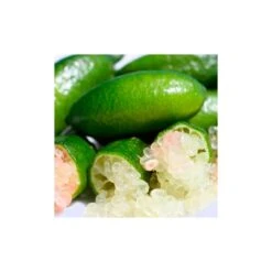 Microcitrus Australasica Fruta Rosa -Jardín Y Exteriores microcitrus australasica fruta rosa 3