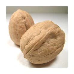 Nogal De California Chanler Injertado