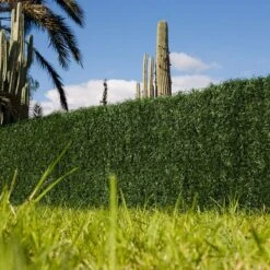 Seto Artificial Dense