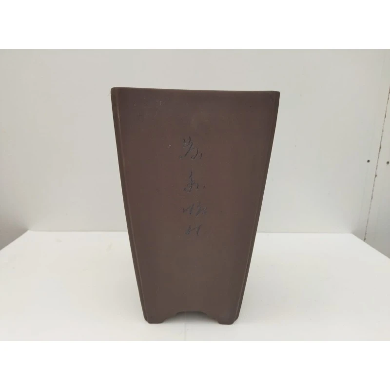 Tiesto Bonsai En Cascada Modelo GINZA 1 Tiesto Bonsai En Cascada Modelo GINZA