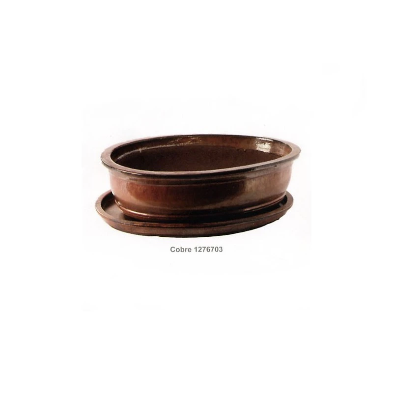 Tiesto ébano Con Plato 2 Tiesto ébano Con Plato - Imagen 2