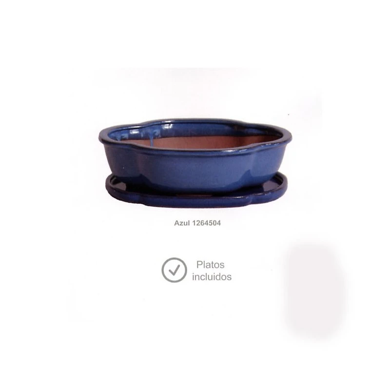 Tiesto Olea Con Plato Verde 1 Tiesto Olea Con Plato Verde